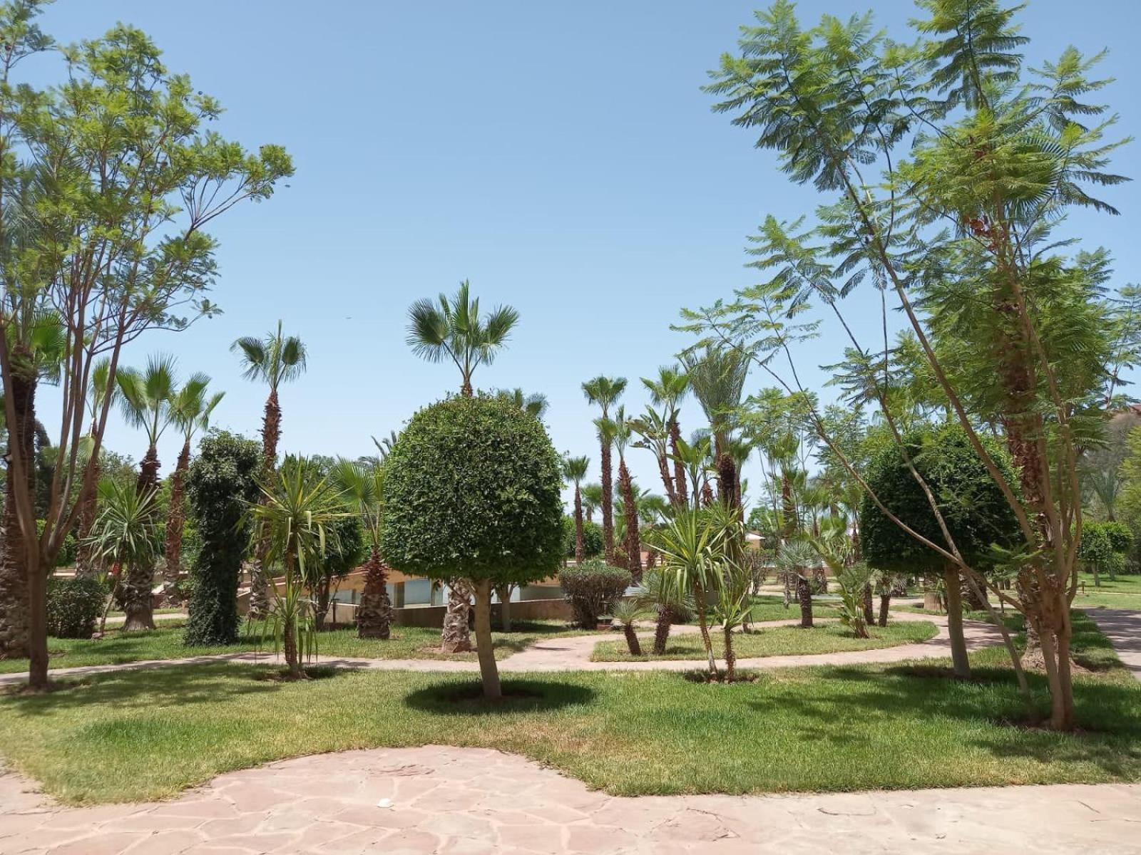 Апартаменты Marrakech M Avenue Terrasse Jardin Марракеш Экстерьер фото